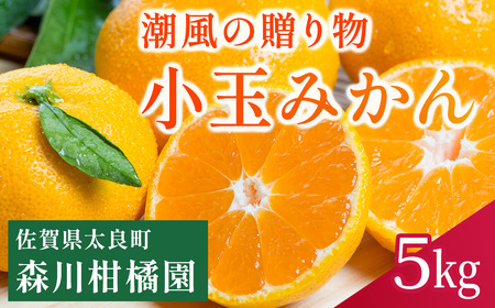 潮風の贈り物 みかん（小玉) ５㎏　みかん ミカン 蜜柑 温州みかん 完熟みかん 甘熟 柑橘 有機栽培 国産 佐賀県産 太良町 こだわり 贈答品 産地直送 詰め合わせ 小玉 L18x1 【2026年10月下旬～2027年1月上旬迄発送予定】