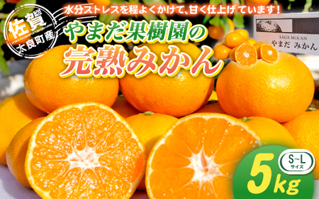 やまだ果樹園の完熟みかん　５ｋｇ　みかん 太良みかん 温州みかん 完熟みかん 国産みかん 小玉みかん 大玉みかん 佐賀県 太良町 L32x1 【2026年11月上旬-2027年1月上旬発送予定】