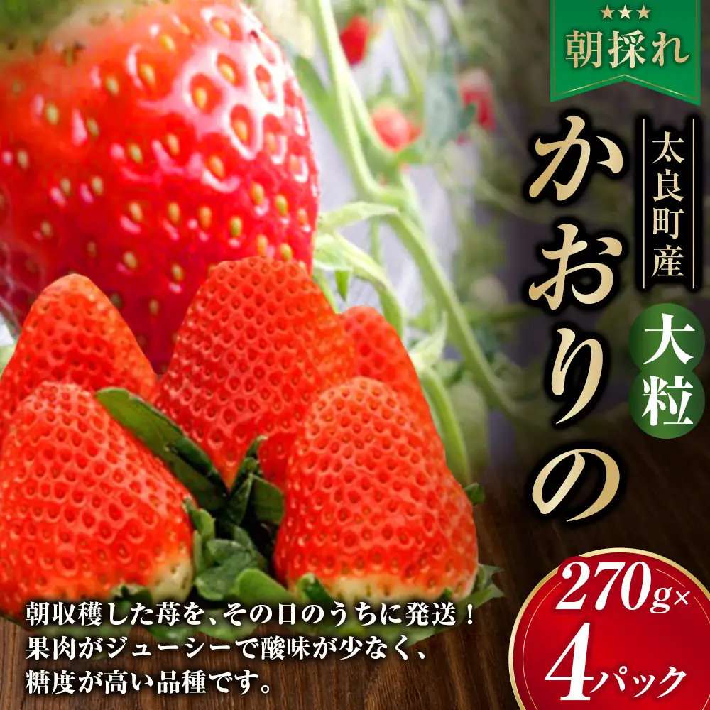 N88x1 太良町産「かおりの」大粒4P　生産者直送！朝採り苺！ 太良町 かおりの 国産 佐賀県産 太良町産 いちご 苺 イチゴ 甘い 4パック 朝採り 大粒 果肉がジューシー 糖度高め  葉隠工房 レトロカフェ【2027年1月上旬-2027年4月下旬】