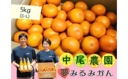 NA10x1 中尾農園の夢みるみかん（S-L）５ｋｇ 【2026年10月中旬~2027年1月下旬発送予定】温州みかん 早生 温州 みかん ミカン 蜜柑 温州蜜柑 温州ミカン フルーツ くだもの 果物 ミネラル豊富 太良町 国産 贈答用 月の引力が見える町 太良町 ふるさと納税 返礼品 みかん さがみかん 太良みかん 温州みかん マルチ栽培 夢見るみかん 産地直送 おいしい