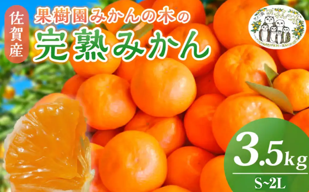 L9x1 果樹園みかんの木の完熟みかん ３.５ｋｇ　みかん ミカン 蜜柑 温州みかん 完熟みかん 甘熟 国産 佐賀県産 太良町 こだわり 産地直送 詰め合わせ 【2026年11月上旬-2027年1月下旬発送予定】