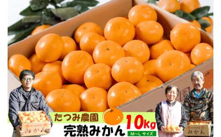 N151x1 辰見農園の完熟みかん 10kg みかん ミカン 蜜柑 たらみかん 太良みかん 温州みかん 完熟みかん 甘熟 柑橘 国産 佐賀県産 太良町 こだわり 有機栽培 産地直送 贈答品 詰め合わせ 極甘 【2026年10月下旬-2027年3月下旬発送予定】