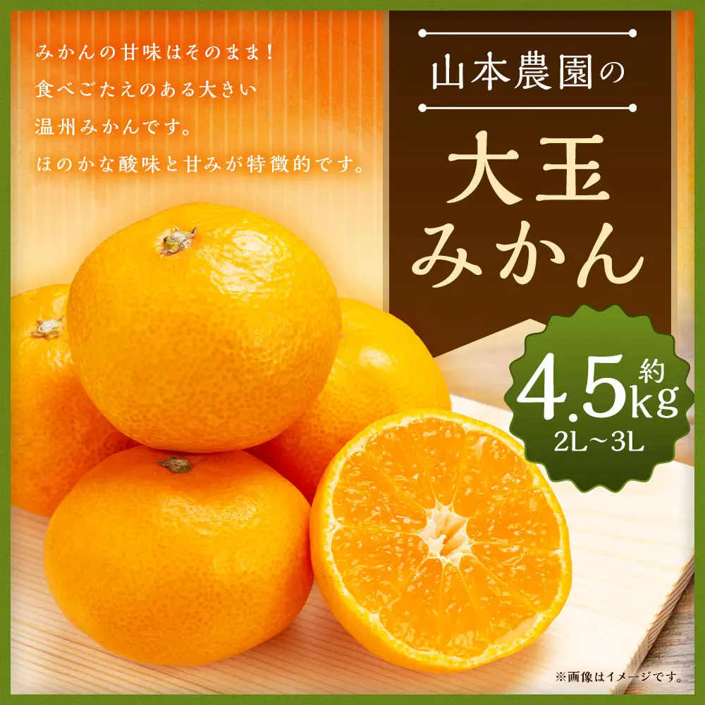 山本農園の大玉みかん 4.5kg 温州みかん 早生 温州 みかん ミカン 蜜柑 温州蜜柑 温州ミカン フルーツ くだもの 果物 ミネラル豊富 太良町 国産 贈答用 L14x1 【2026年11月下旬～2027年1月下旬】