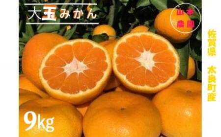 山本農園の大玉みかん　９kg 大玉 大玉みかん 大玉蜜柑 大玉ミカン みかん ミカン 蜜柑 フルーツ くだもの 果物 ミネラル豊富 太良町 国産 贈答用 お中元 お歳暮 N31x1 【2026年11月上旬～2027年1月上旬】