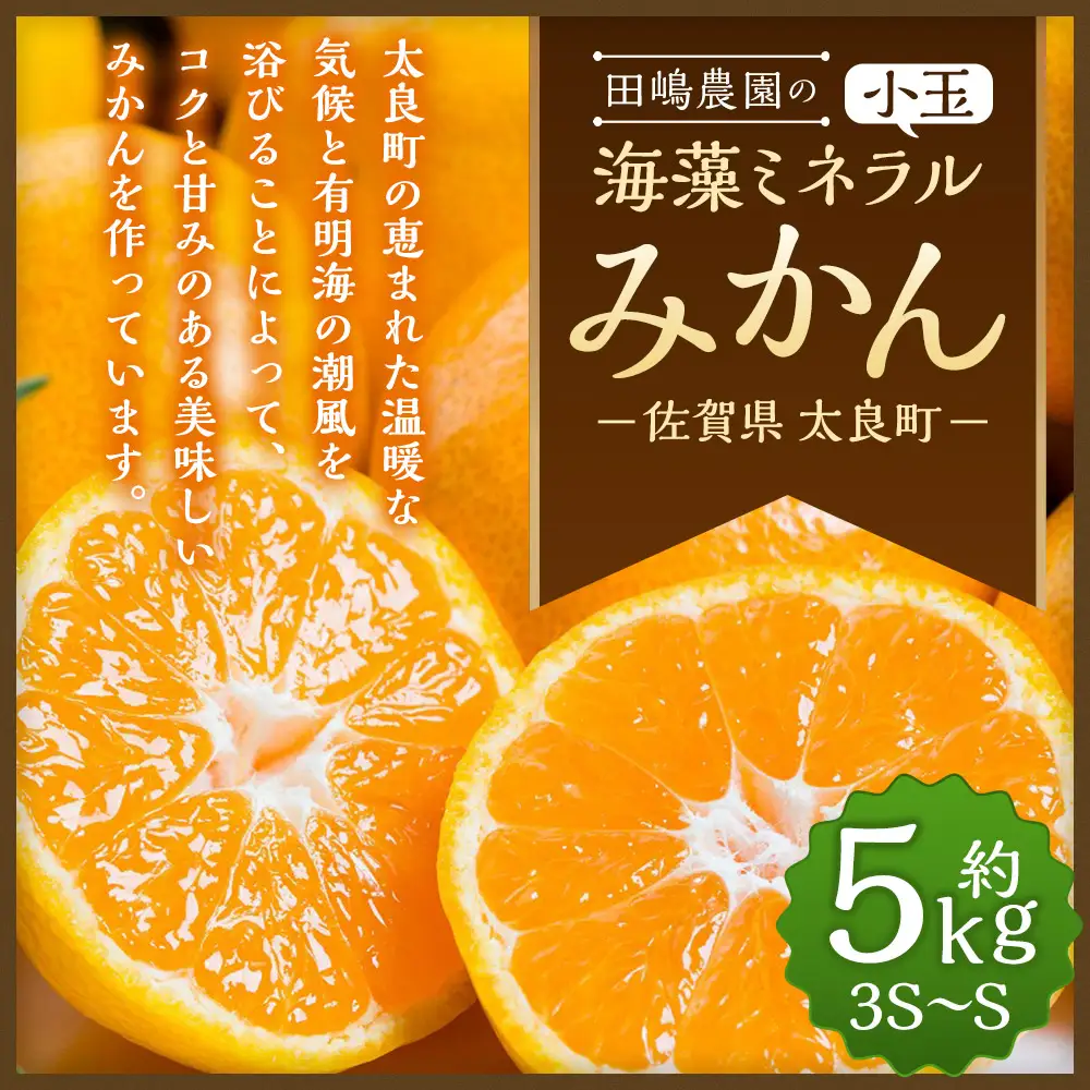 海藻ミネラル小玉みかん 5kg　みかん ミカン 蜜柑 たらみかん 太良みかん 温州みかん 完熟みかん 甘熟 柑橘 国産 こだわり 有機栽培 産地直送 贈答品 詰め合わせ 極甘 小玉 佐賀県産 太良町 L21x1 【2026年10月下旬～2027年1月上旬迄発送予定】