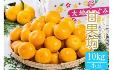 大鋸農園の甘果坊（小玉）10㎏ NB17x1 【2026年10月下旬～12月下旬配送予定】