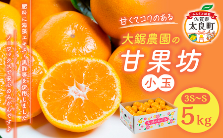 大鋸農園の甘果坊（小玉）５ｋｇみかん蜜柑太良みかん温州みかん果物フルーツ甘い柑橘小玉ノーワックス果実くだもの柑橘類佐賀県太良町 LB8x1 【2026年10月下旬～12月下旬配送予定 】