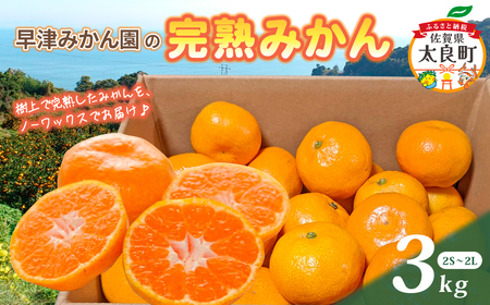 L-101　早津みかん園の完熟みかん3kg　みかん ミカン 蜜柑 たらみかん 太良みかん 温州みかん 完熟みかん 甘熟 柑橘 国産 佐賀県産 太良町 こだわり 有機栽培 産地直送 贈答品 詰め合わせ 極甘
