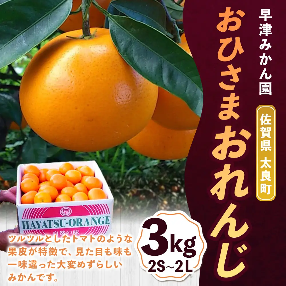 L103x1 おひさまおれんじ３kg 希少 みかん ミカン 蜜柑 フルーツ くだもの 果物 ミネラル豊富 太良町 国産 人気 おすすめ ギフト贈り物 ギフト【2026年12月上旬～2027年1月上旬発送予定】