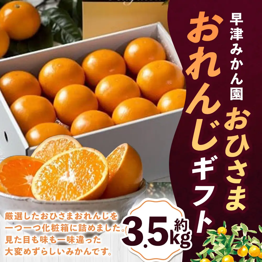 O85x1 おひさまおれんじギフト おひさまおれんじ 約3.5kg 希少 温州みかん 早生 温州 みかん ミカン 蜜柑 温州蜜柑 温州ミカン フルーツ くだもの 果物 ミネラル豊富 太良町 国産 【2026年12月上旬～2027年1月上旬】