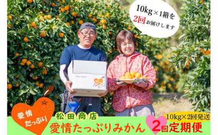 P90x1 【2回定期便】愛情たっぷりみかん　みかん ミカン 蜜柑 柑橘 たらみかん 太良みかん 温州みかん 完熟みかん 国産 佐賀県産 太良町 こだわり 産地直送 贈答品 詰め合わせ セット 定期便 甘熟 極甘 【2026年11月上旬-12月下旬発送予定】