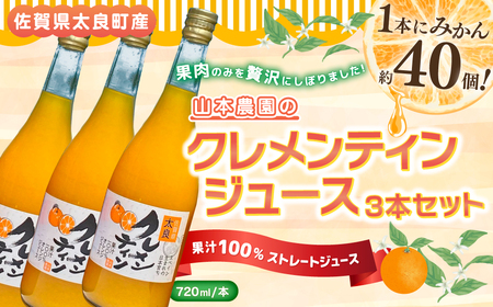 山本農園のクレメンティンジュース 720ml 3本  太良みかん ヨーロッパ生まれ スペイン原産 クレメンティン 100％ジュース 720ml 3本 みかんジュース ミカンジュース 蜜柑ジュース ジュース 温州 みかん ミカン フルーツ くだもの 果物 ミネラル豊富 太良町 国産 贈答用 N111