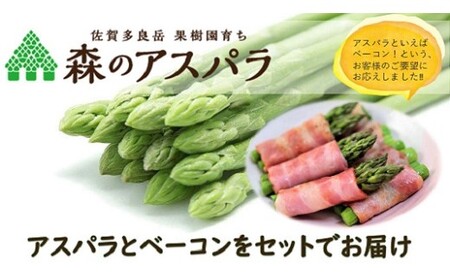【令和7年3月より発送開始】朝採れ 「森のアスパラ」とこだわりのベーコンセット グリーンアスパラガス (S～Lサイズ) 500g ベーコン 100g  セット アスパラガス アスパラ グリーンアスパラガ スベーコン 佐賀県 太良町 MA3
