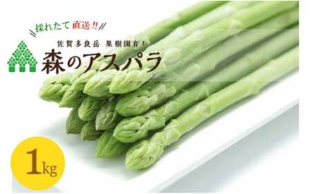 【令和7年3月より発送開始】採れたて直送！「森のアスパラ」１kｇ　アスパラ アスパラガス 国産 新鮮 採れたて 期間限定 旬 佐賀県 太良町 NB7