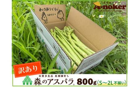 味はそのまま訳あり 森のアスパラ 800g (料理王国100選入賞 2021) アスパラ アスパラガス 規格外品 訳あり 佐賀県 太良町 LA1