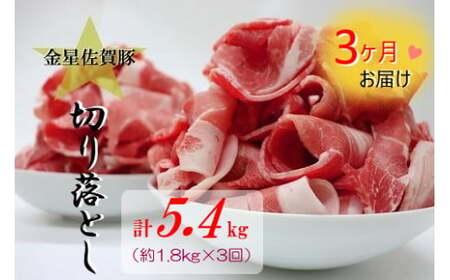 QE3x1【3ヶ月定期便】金星佐賀豚 切り落とし(300g×6パック )3回お届け 定期便 定期 3回定期 ブランド豚 豚肉 ぶた肉 ブタ肉 お肉 肉 精肉 金星佐賀豚 国産 真空パック 小分け 切り落とし 冷凍便 冷凍品 冷凍 太良町 佐賀