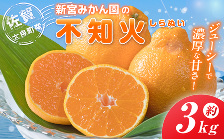 【令和7年4月下旬頃～発送】L-58 新宮みかん園の不知火 L～3Lサイズ 約3㎏ みかん ミカン 蜜柑 不知火みかん しらぬい デコポン でこぽん 温州みかん 完熟みかん 国産 佐賀県産 太良町 期間限定 詰め合わせ