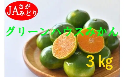 O150x1 すっきり爽やか！！グリーンハウスみかん 3kg みかん ミカン 蜜柑 フルーツ くだもの 果物 ミネラル豊富 太良町 国産 贈答用 【2026年7月下旬-8月下旬発送予定】
