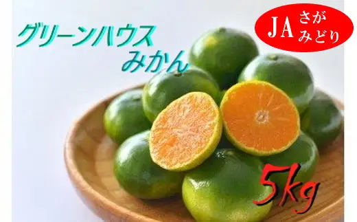 P57x1 すっきり爽やか！！グリーンハウスみかん ５kg 夏 みかん ミカン 蜜柑 フルーツ くだもの 果物 ミネラル豊富 太良町 国産 産地直送 贈答用 【2026年7月下旬-8月下旬発送予定】