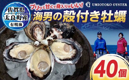 海男の殻付き牡蠣 40個 牡蠣 かき カキ 魚介 魚介類 海鮮 海の幸 海のミルク 貝 かい 貝類 佐賀県 太良町