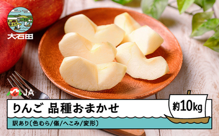 【先行予約】 りんご 品種おまかせ 訳あり 無印 約10kg 2026年産 令和8年産 フルーツ 果物 山形県 ※沖縄・離島への配送不可 ja-riwax10