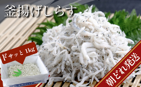 【漁師が獲れたて即加工！】しらす 1kg 朝どれ 大容量 水揚げ 釜揚げ しらす丼 魚介 シーフード 特産品 海産物 新鮮 惣菜 国産 鮮度 ふるさと納税 採れたて 安全 安心 カルシウム 徳島県 小松島