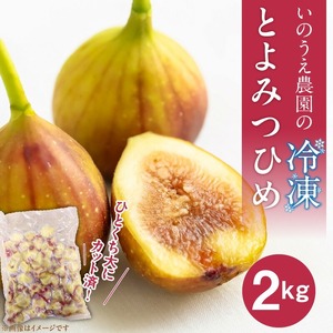 いのうえ農園の冷凍とよみつひめ2kg 〔Fx014〕