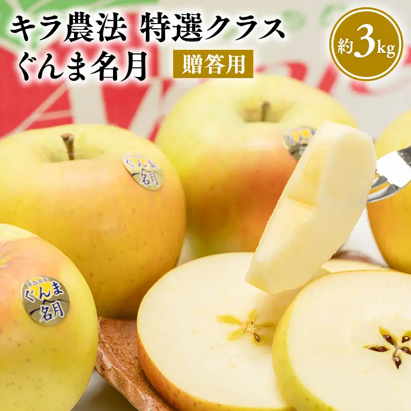 りんご  贈答用　ぐんま名月 約3kg 【hi-0008-006】