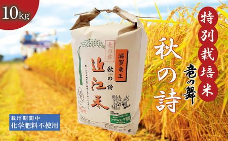 新米 秋の詩 白米 10kg 2024年産 竜の舞 化学肥料不使用 特別栽培米 国産 安心 安全 近江米 米 お米 白米 お弁当 玄米 産地直送 滋賀県 竜王町 送料無料