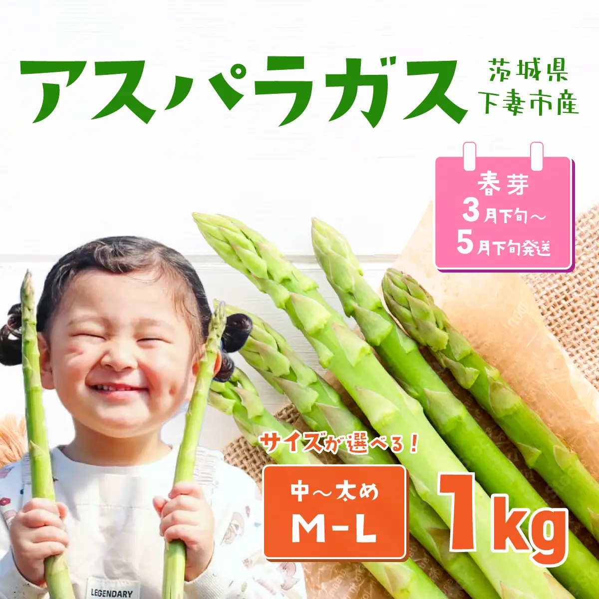 アスパラガス 1kg M～Lサイズ 朝採り アスパラガス 春芽【先行受付】【26年3月下旬～5月発送】