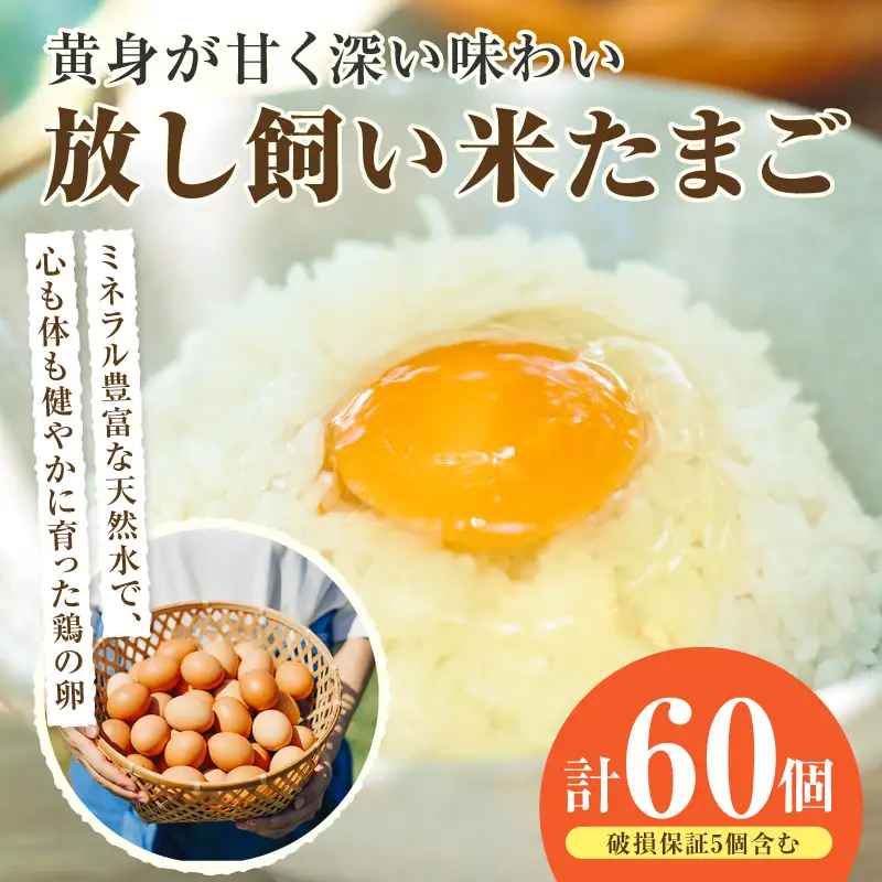 放し飼い米たまご55個+5個保証（計60個）農家直送 新鮮 卵 タマゴ 赤卵 玉子 鶏卵 朝食 夕食 夜食 朝ごはん たまご焼き オムレツ 卵ご飯 料理 濃厚 飼料にこだわった 卵かけご飯 米たまご 生卵 大容量 お取り寄せ 愛知県 常滑市