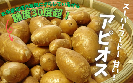 スーパーフード 糖度30度あま～いアピオス(生)1kg