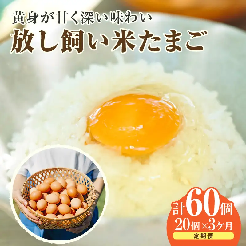 【３か月定期便】放し飼い米たまご15個+5個保証（計20個）農家直送 新鮮 卵 タマゴ 赤卵 玉子 鶏卵 朝食 夕食 夜食 朝ごはん たまご焼き オムレツ 卵ご飯 料理 濃厚 飼料にこだわった 卵かけご飯 米たまご 生卵 大容量 お取り寄せ 愛知県 常滑市