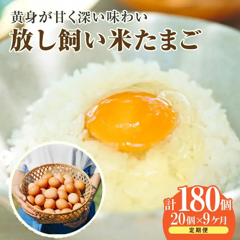 【９か月定期便】放し飼い米たまご15個+5個保証（計20個）農家直送 新鮮 卵 タマゴ 赤卵 玉子 鶏卵 朝食 夕食 夜食 朝ごはん たまご焼き オムレツ 卵ご飯 料理 濃厚 飼料にこだわった 卵かけご飯 米たまご 生卵 大容量 お取り寄せ 愛知県 常滑市