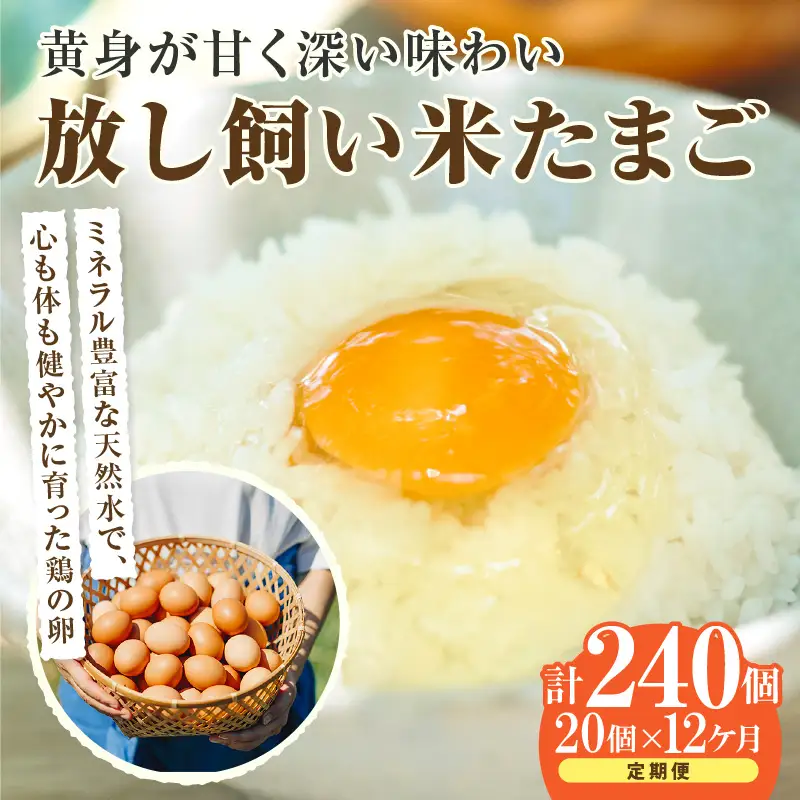 【12か月定期便】放し飼い米たまご15個+5個保証（計20個）農家直送 新鮮 卵 タマゴ 赤卵 玉子 鶏卵 朝食 夕食 夜食 朝ごはん たまご焼き オムレツ 卵ご飯 料理 濃厚 飼料にこだわった 卵かけご飯 米たまご 生卵 大容量 お取り寄せ 愛知県 常滑市