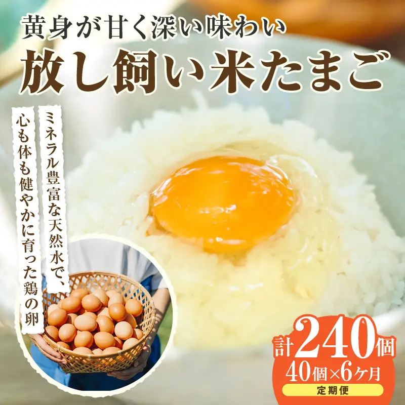 【6か月定期便】放し飼い米たまご35個+5個保証（計40個）農家直送 新鮮 卵 タマゴ 赤卵 玉子 鶏卵 朝食 夕食 夜食 朝ごはん たまご焼き オムレツ 卵ご飯 料理 濃厚 飼料にこだわった 卵かけご飯 米たまご 生卵 大容量 お取り寄せ 愛知県 常滑市