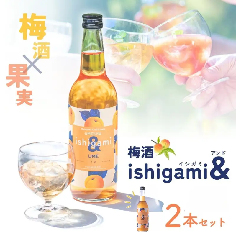 梅酒ishigami&（イシガミアンド）（うめ） 600ml×2本 / 梅干し 梅干 梅 うめ 炭酸割り ロック 和歌山 田辺市 紀州産 南高梅 完熟梅 フルーツ【isg042】