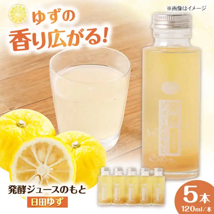 発酵ジュースのもと〈日田ゆず〉120ml×5本 ジュース ゆず 果実飲料[ARDA002]