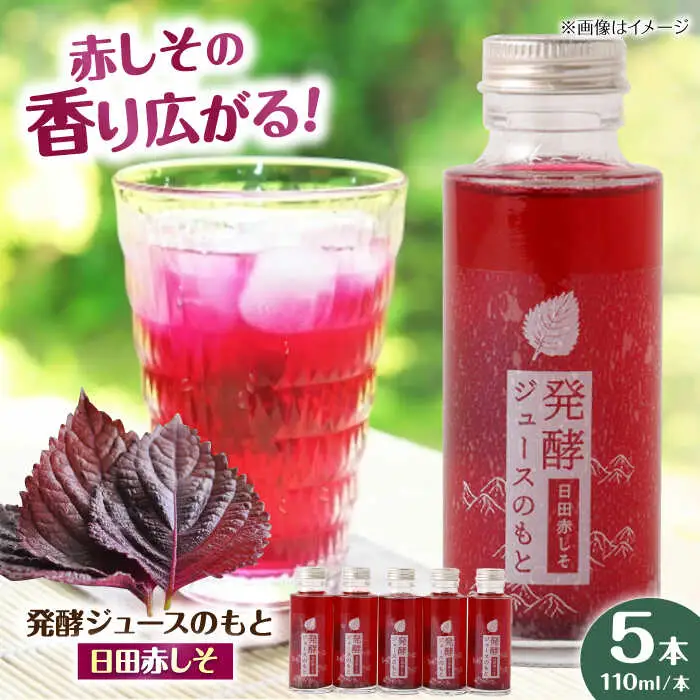 発酵ジュースのもと〈日田赤しそ〉 110ml×5本 ジュース 紫蘇 しそ 紫蘇ジュース 果実飲料 [ARDA003]
