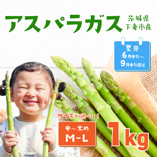 アスパラガス 1kg M～Lサイズ 朝採り アスパラガス 夏芽【先行受付】【26年6月中旬～9月発送】