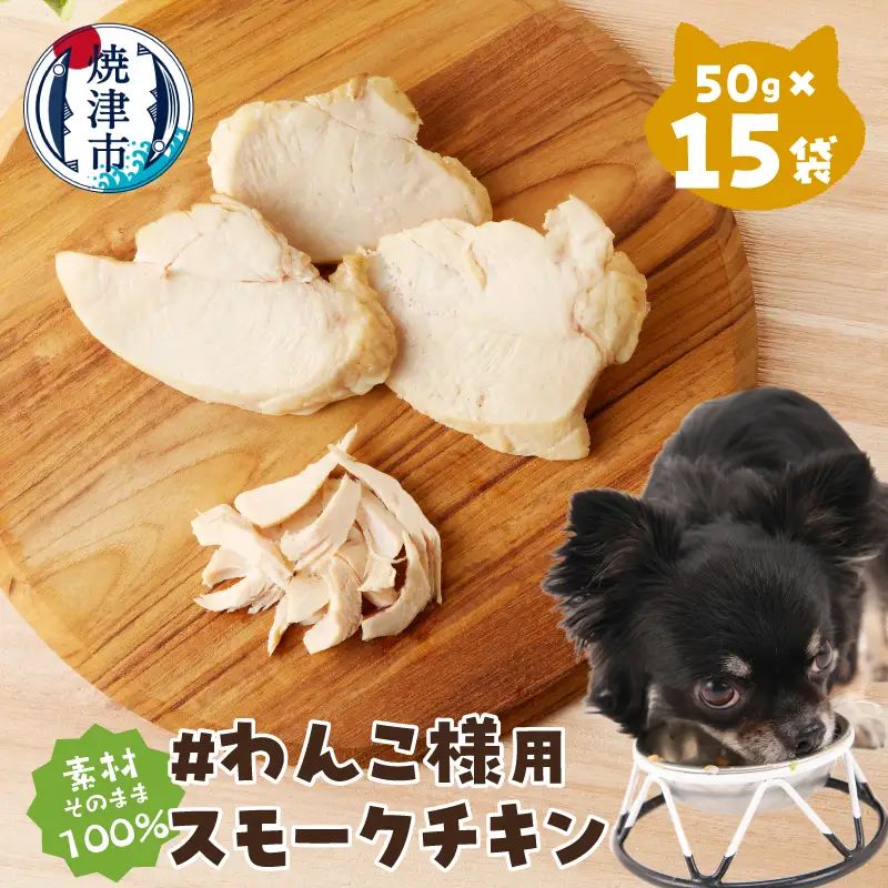 わんこ様用15点セット (a35-020)