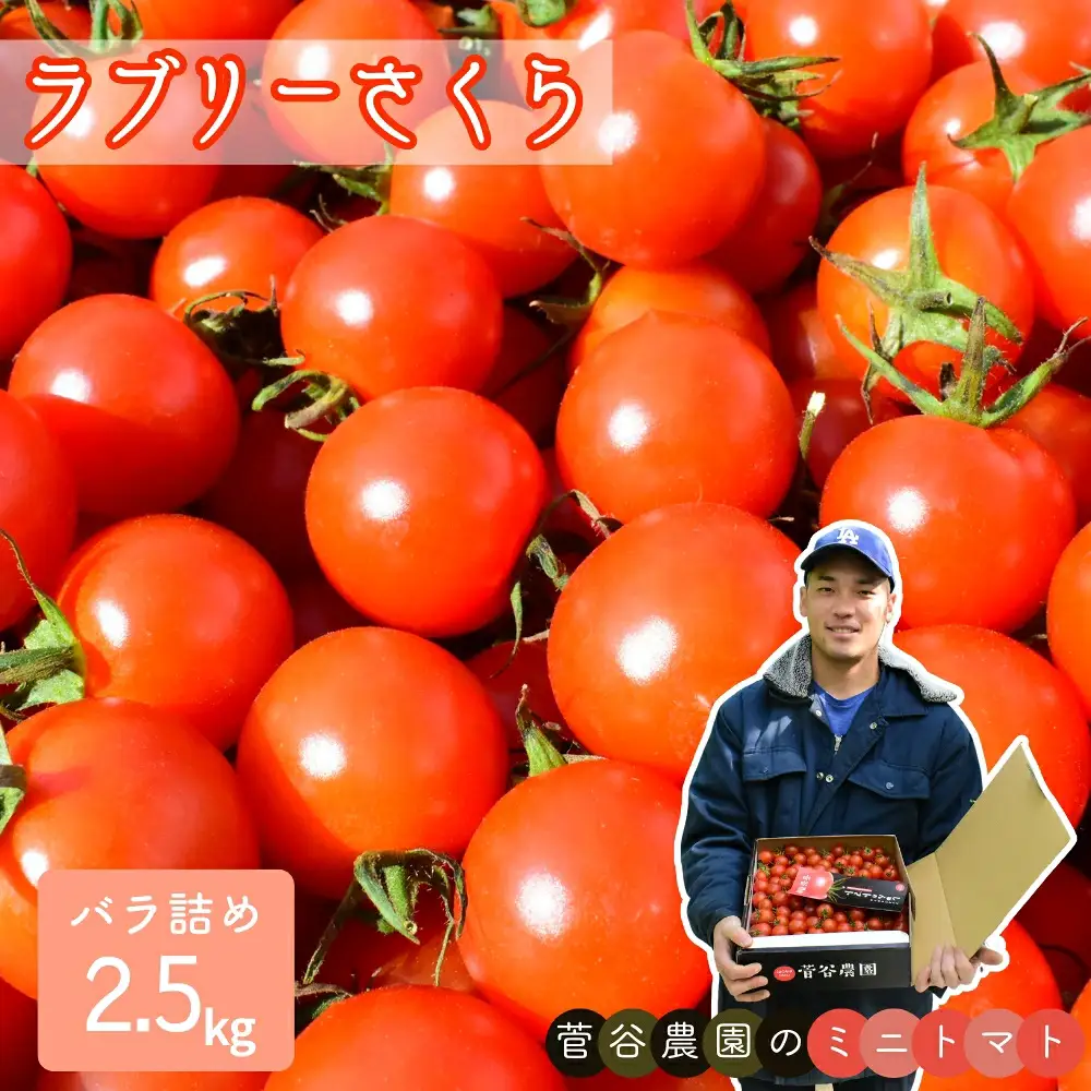 小さいのに旨みとコクあり！ミニトマト（ラブリーさくら）バラ詰め／2.5kg 【 トマト 】