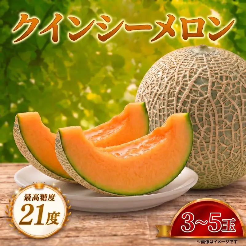 【先行予約】 メロン 2027 発送 最高糖度21度！奇跡の クインシーメロン 3?5玉 赤肉メロン めろん 人気 おすすめ クインシー 濃厚 高糖度 自家栽培 メロン 贈答用 贈り物 プレゼント 片岡農園 クレストファーム 茨城県 鉾田市