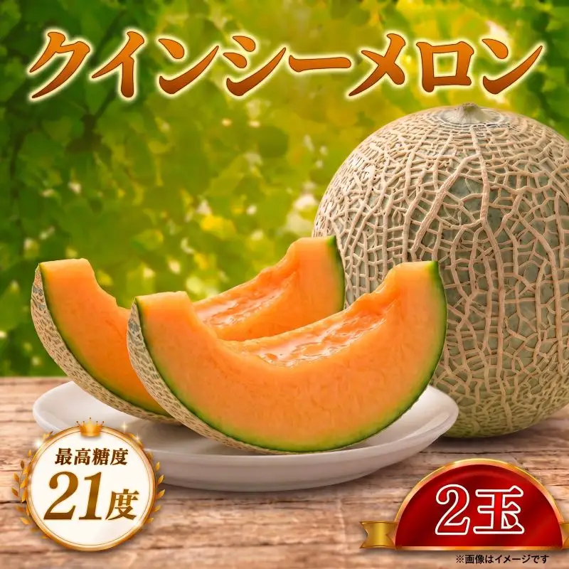 【先行予約】 メロン 2027 発送 めろん 最高糖度21度！奇跡の クインシーメロン 2玉 赤肉 人気 おすすめ クインシー 濃厚 高糖度 自家栽培 メロン 贈答用 贈り物 プレゼント 片岡農園 クレストファーム 茨城県 鉾田市