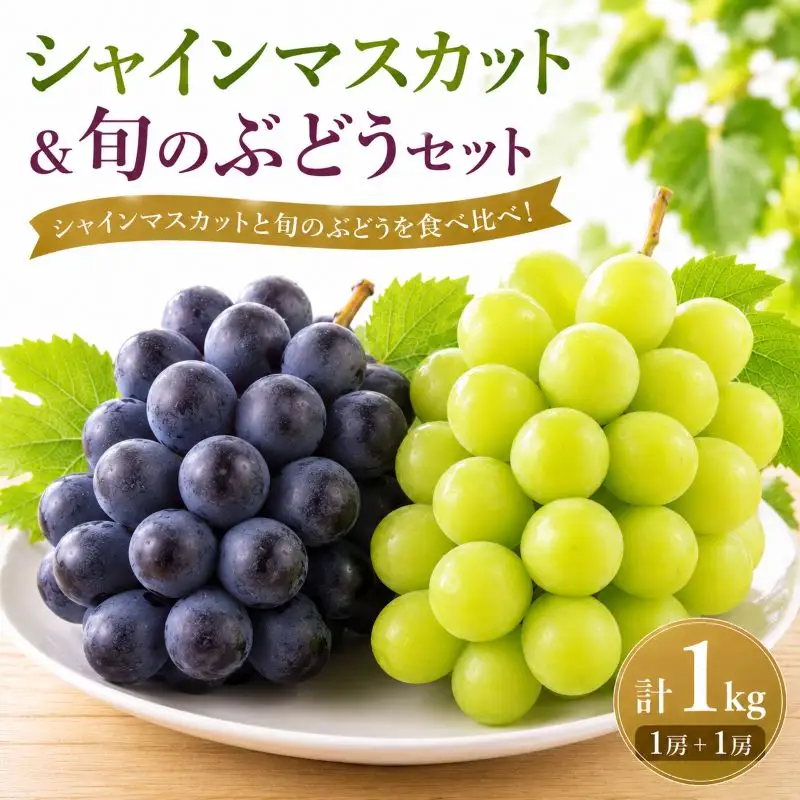 【ぶどうの2種セット】 シャインマスカット 旬のぶどう （各1房 計2房） 約1kg
