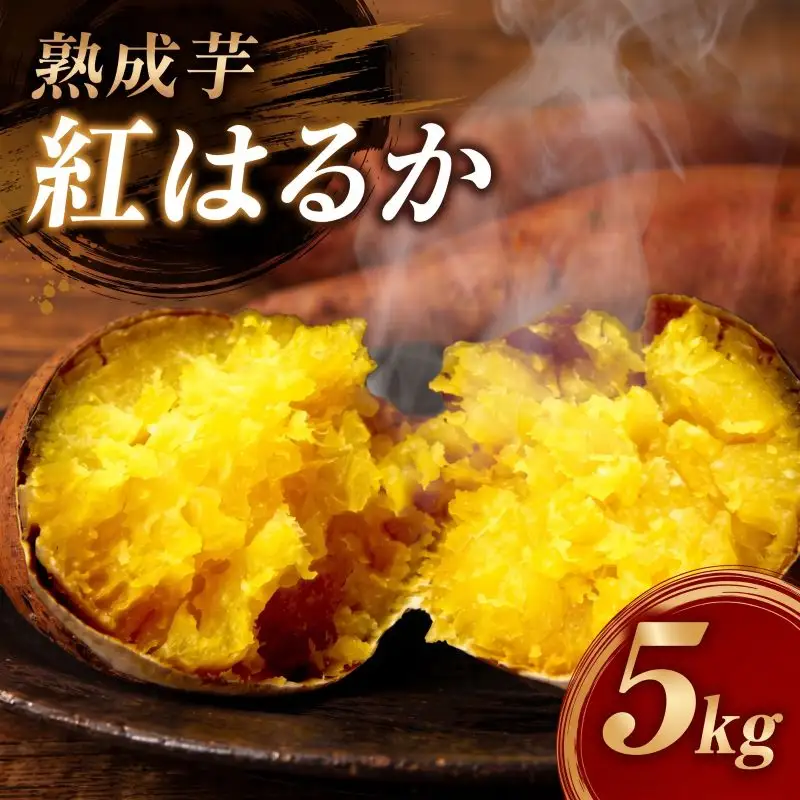 【2027年1月?3月順次発送】 さつまいも 紅はるか 熟成芋 約5kg さつまいも