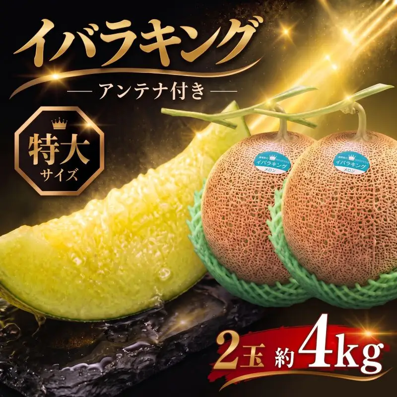 【贈答用】イバラキング（青肉メロン） 2玉入 青肉品種 根﨑メロン！ ／ イバラキング 果物 フルーツ ギフト 農家直送 nsn004_X1