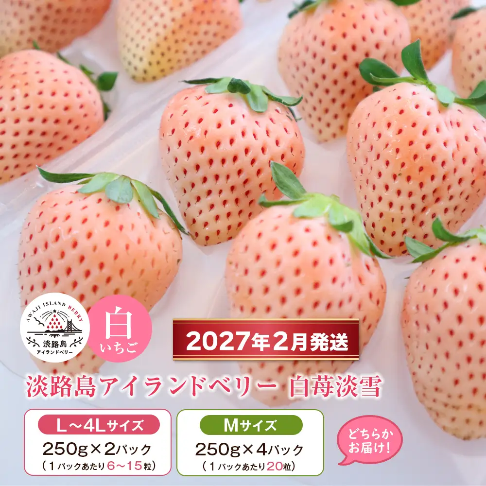 淡路島アイランドベリー 白苺淡雪 2～4パック入【2027年2月発送予約受付・お届け日指定不可】　苺