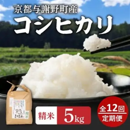 【毎月定期便】大江山蛇紋岩成分の影響を受けたミネラル豊富な棚田で育ったコシヒカリ精米5kg全12回_ 精米 米    コシヒカリ 米 こしひかり  定期便 定期便  _【4057580】