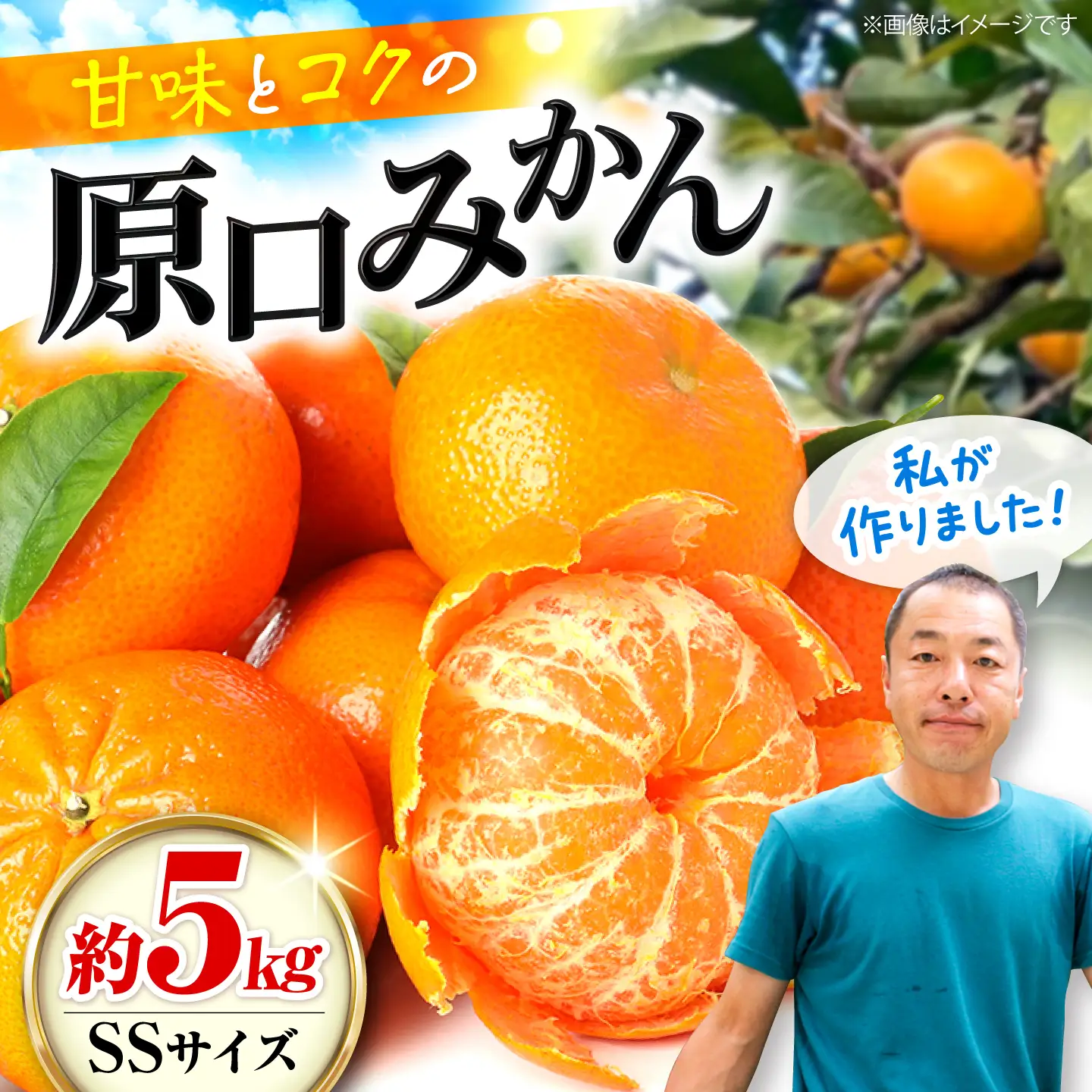  原口みかん 約5kg [CCX010]   みかん